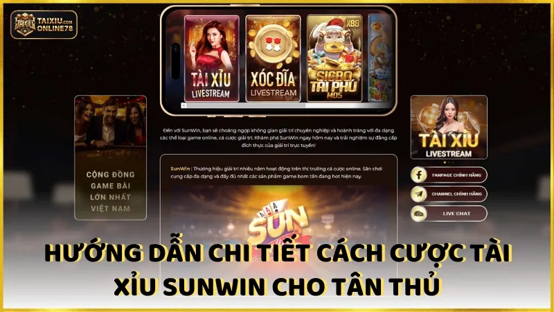 Hướng dẫn chi tiết cách cược Tài xỉu Sunwin cho tân thủ