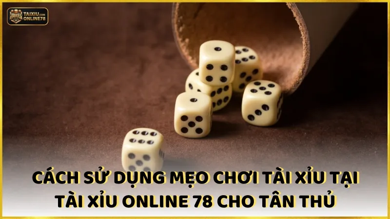 Chi tiết cách sử dụng mẹo chơi tài xỉu tại Tài xỉu online 78 cho tân thủ